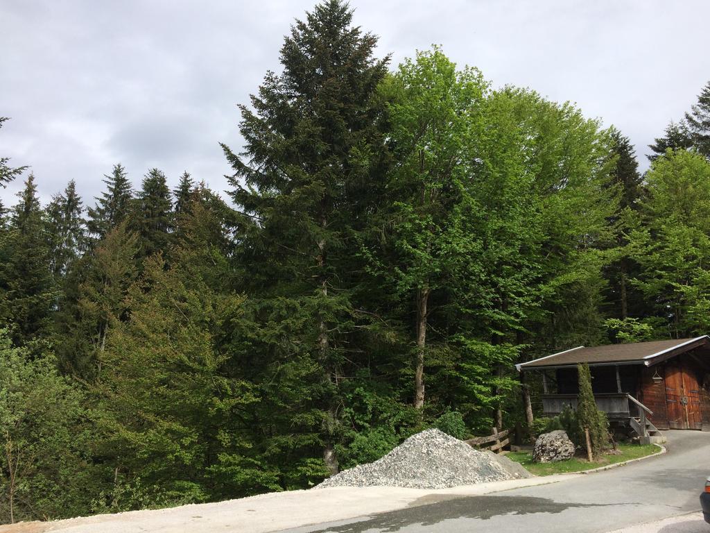 Ferienwohnung Wieser Fieberbrunn Exterior foto